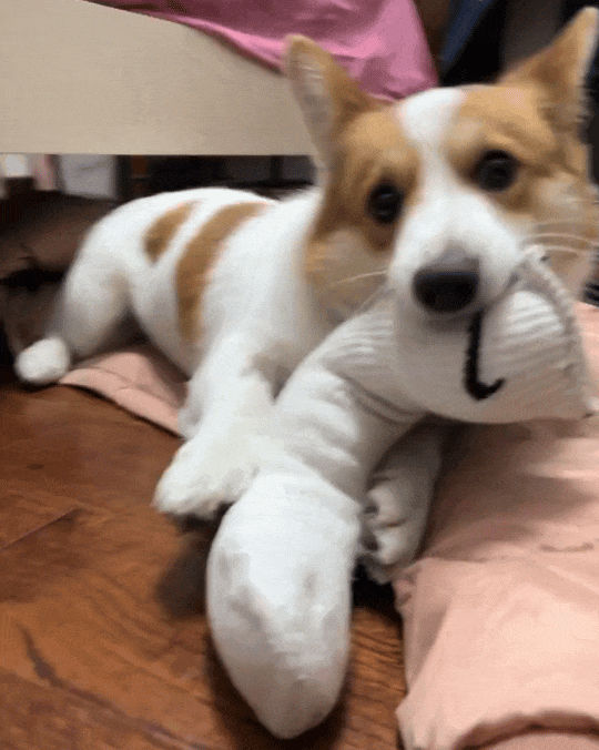 了！几千欧的东西说用就用pg电子入口也是好起来(图16)