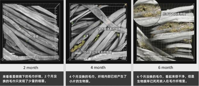 架的同款毛巾!我们低价搞到了pg电子中文模拟器胖某来刚上(图10) 架的同款毛巾!我们低价搞到了pg电子中文模拟器胖某来刚上(图10)