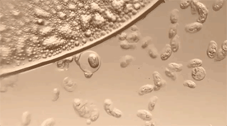 架的同款毛巾!我们低价搞到了pg电子中文模拟器胖某来刚上(图12) 架的同款毛巾!我们低价搞到了pg电子中文模拟器胖某来刚上(图12)