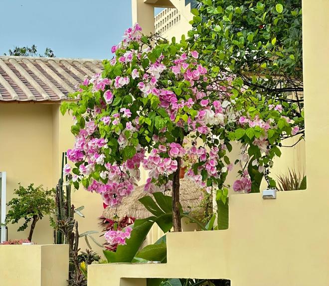 钱？北海亲子游5天4晚价格跟团五日游报价pg电子模拟器免费试玩北海亲子跟团游多少(图6)